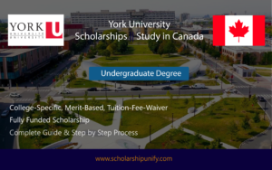 York University scholarships